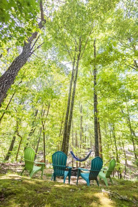 Pet Friendly Luxury Cabin Near Helen With Fire Pit Cleveland Dış mekan fotoğraf