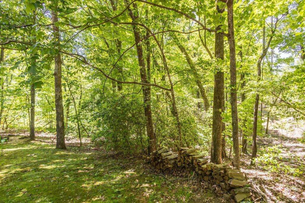 Pet Friendly Luxury Cabin Near Helen With Fire Pit Cleveland Dış mekan fotoğraf
