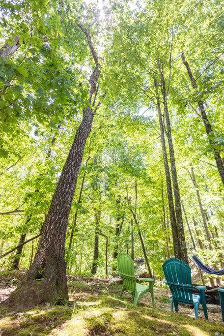 Pet Friendly Luxury Cabin Near Helen With Fire Pit Cleveland Dış mekan fotoğraf