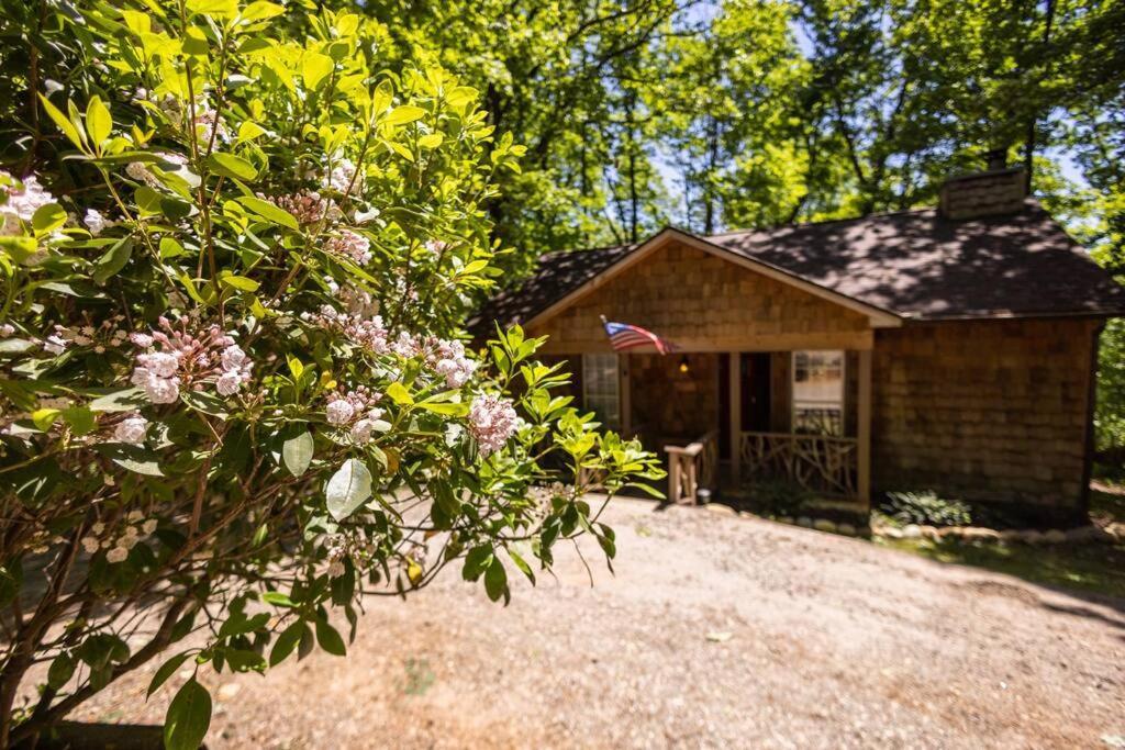 Pet Friendly Luxury Cabin Near Helen With Fire Pit Cleveland Dış mekan fotoğraf